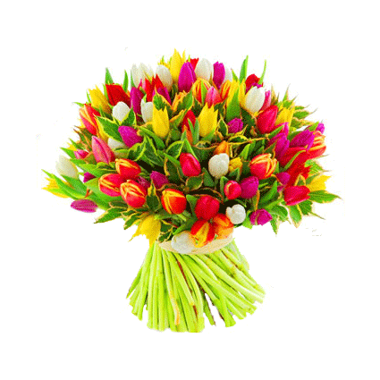 База Мосцветторг – лидер по продажам живых цветов и букетов