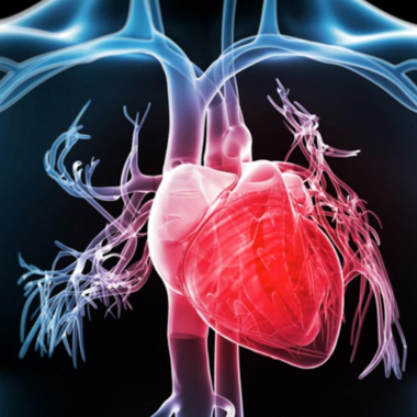  Дела сердечные: как уберечься от сердечно-сосудистых заболеваний
