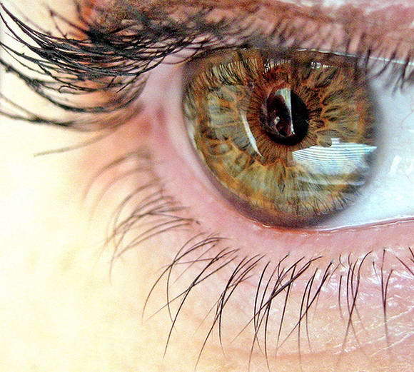 Макияж для каре-зеленых глаз